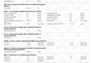 rsw23-hemp-coa-6.22-p1.jpg
